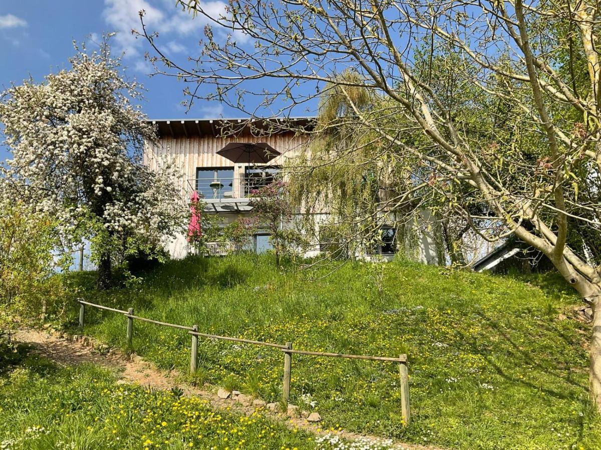 Moselglueck Apartment Schweich Exterior foto
